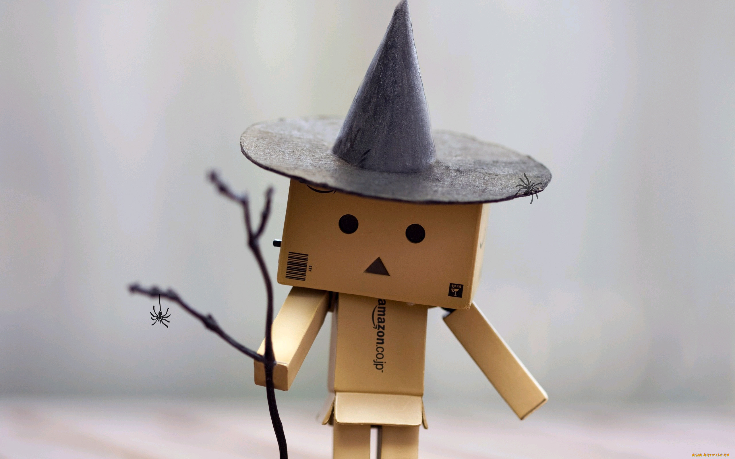 , , danboard, 